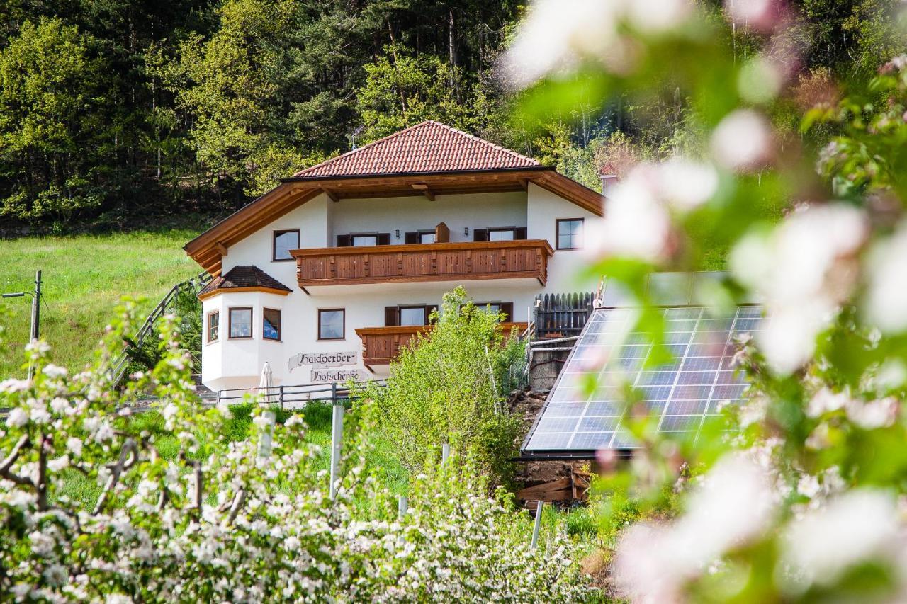 Haidgerberhof - Apartments & Homemade Food Longostagno Eksteriør bilde